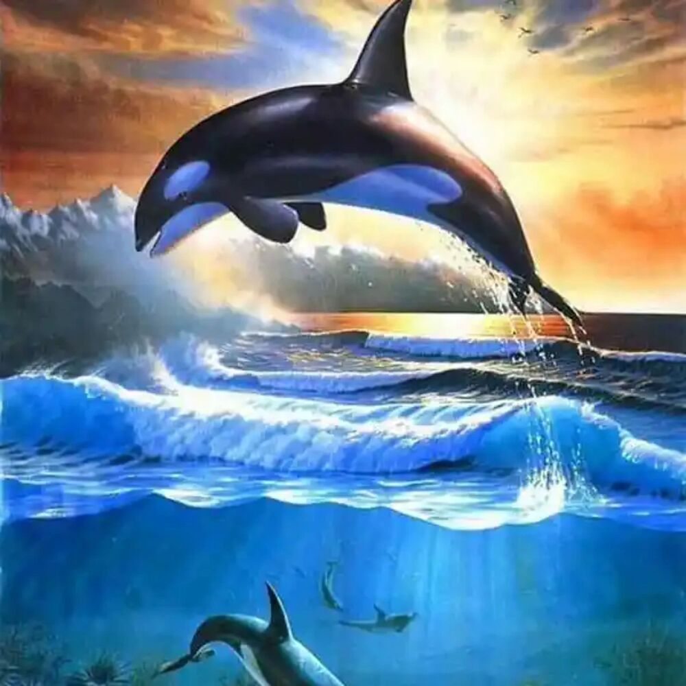 5D DIY Diamond Painting Orca Sunrise Sunset Coral Reef Ocean Sea DZDX46